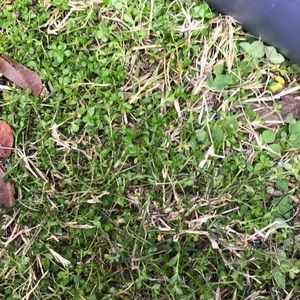 Meet your Posher, Alma